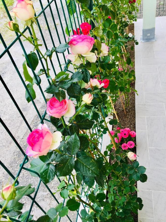 ルッカCasa Albaアパートメント エクステリア 写真